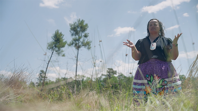 Check for Homegrown History airing on a public television station near you!